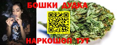 наркотики Будённовск