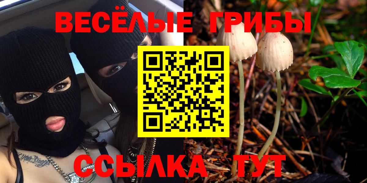 Псилоцибиновые грибы Cubensis  Псилоцибиновые грибы GOLDEN TEACHER  Вход с VPN  хочу   Нижний Новгород 