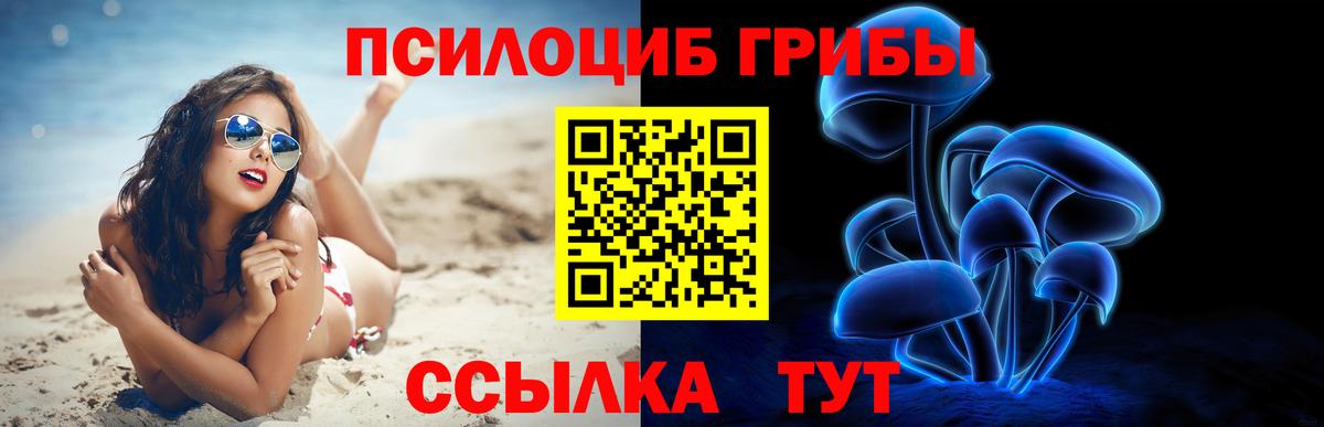 Галлюциногенные грибы GOLDEN TEACHER Нижний Новгород
